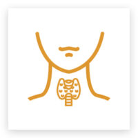 quirurgica_c.endocrina